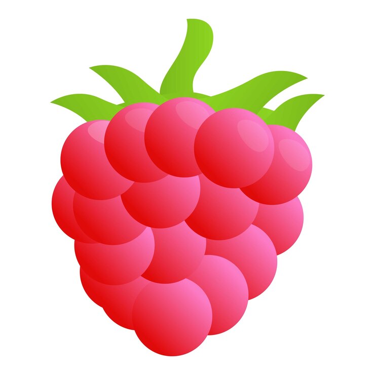 Vector icono de frambuesa deliciosa icono vectorial de frambuessa deliciosa para el diseño web aislado sobre fondo blanco