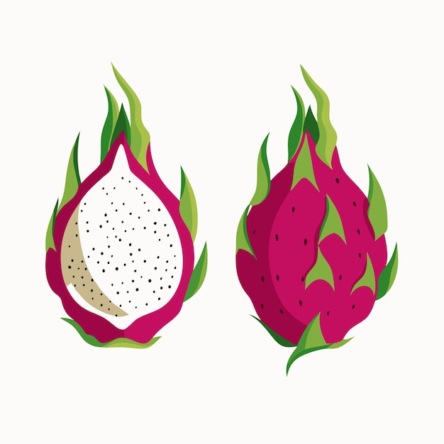 El icono de la fruta del dragón de Pitaya, la fruta de dragón de pitahaya plana de dibujos animados, frutas exóticas tropicales de verano en rodajas 5