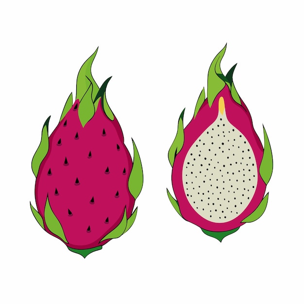 El icono de la fruta del dragón de Pitaya