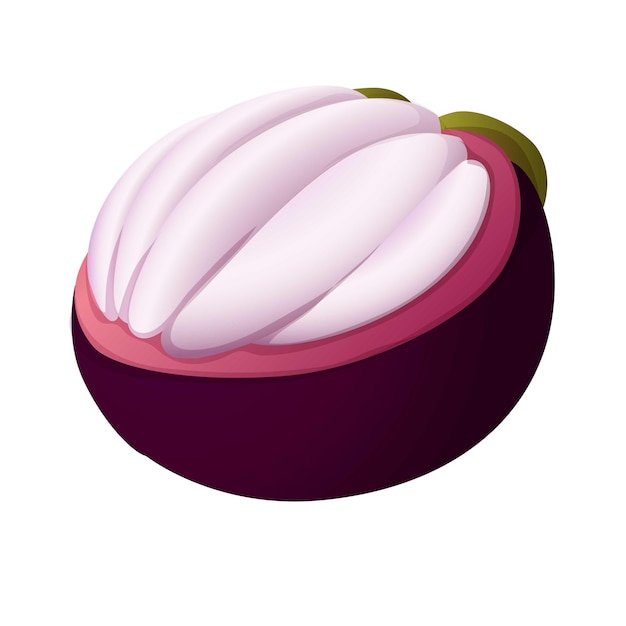 Icono de fruta de mangostán Caricatura de icono de vector de fruta de mangostán para diseño web aislado sobre fondo blanco