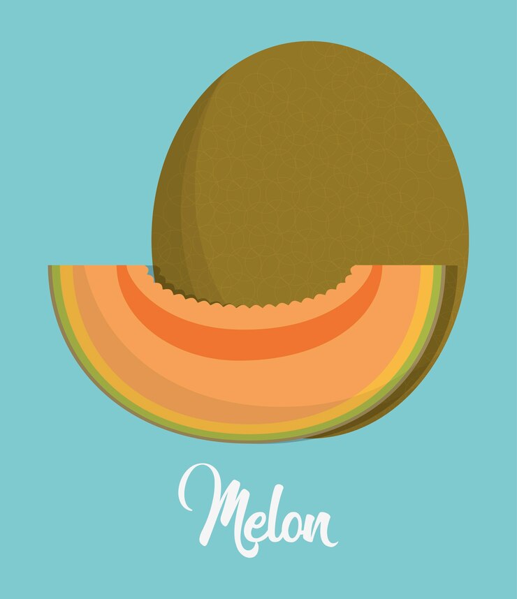 Vector icono de fruta de melón sobre fondo azul