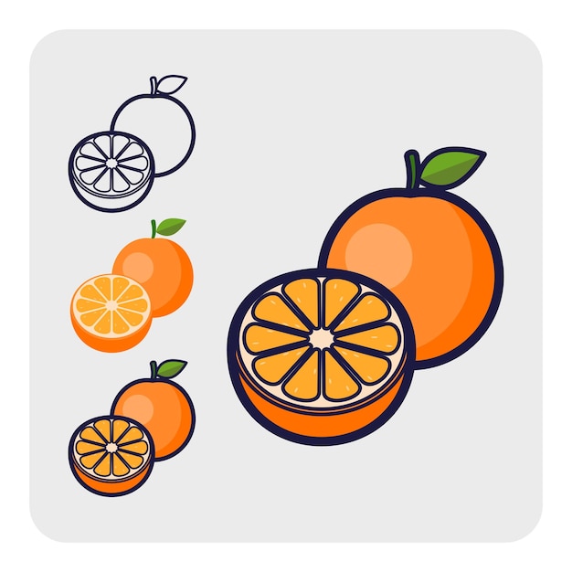 Vector el icono de las frutas 14