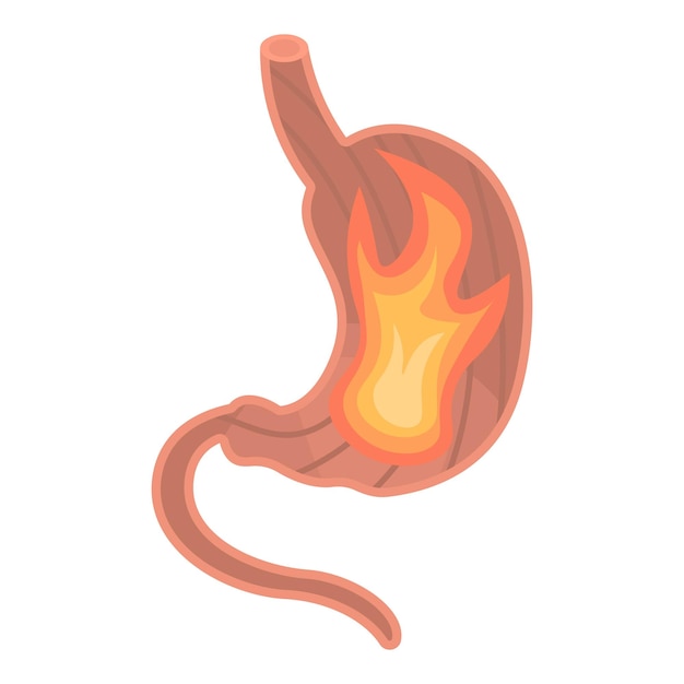 Icono de fuego estomacal Isométrico del icono de vector de fuego estomacal para diseño web aislado sobre fondo blanco