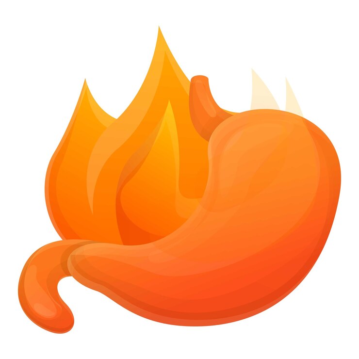 Vector icono de fuego de estómago icono vectorial de fuego deestómago para diseño web aislado en fondo blanco