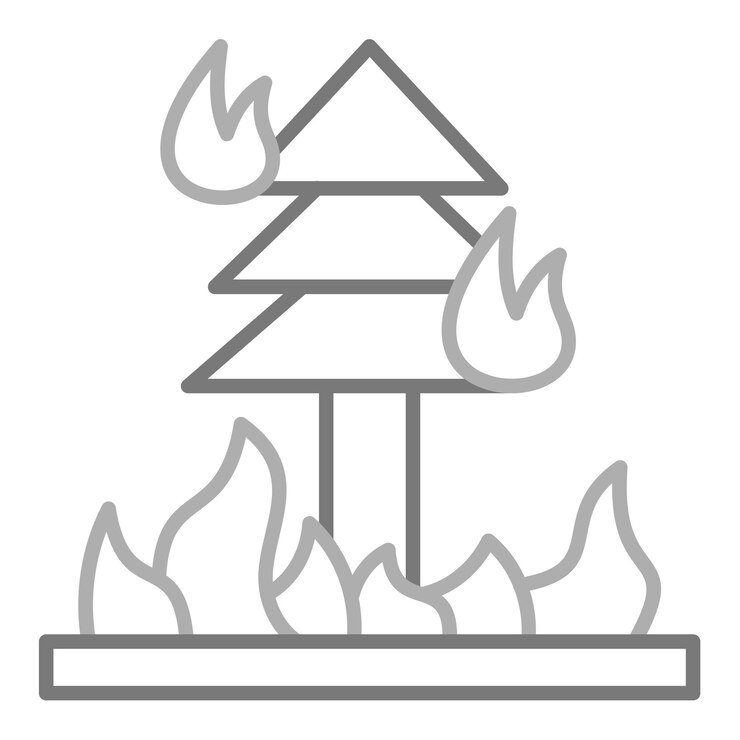 Vector icono de fuego salvaje