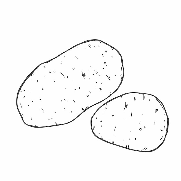 Icono de garabateo de contorno de patata dibujado a mano por vector