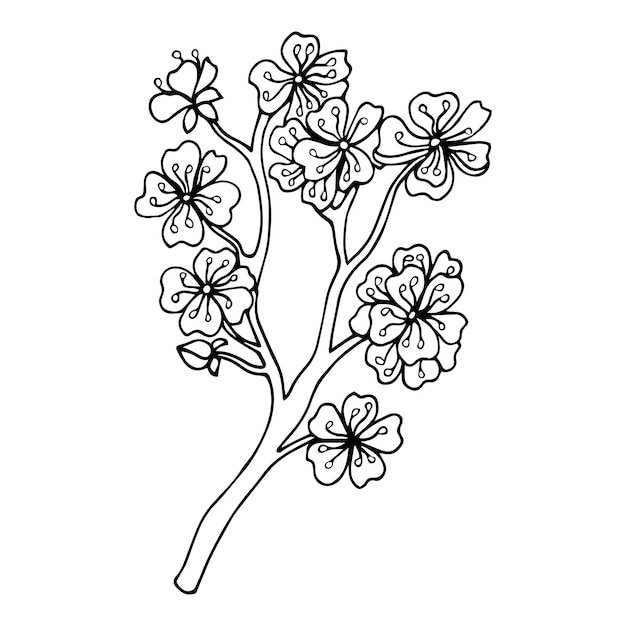 Icono de garabato de flor de Sakura. Línea trasera aislada en blanco.