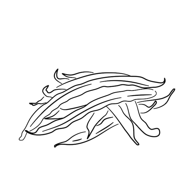 Icono de garabato de judías verdes Bosquejo negro dibujado a mano Ilustración vectorial