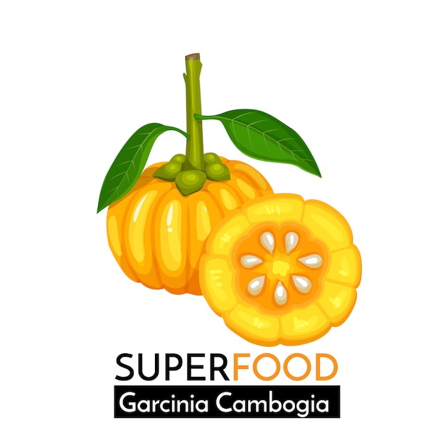 Icono de Garcinia Cambogia.