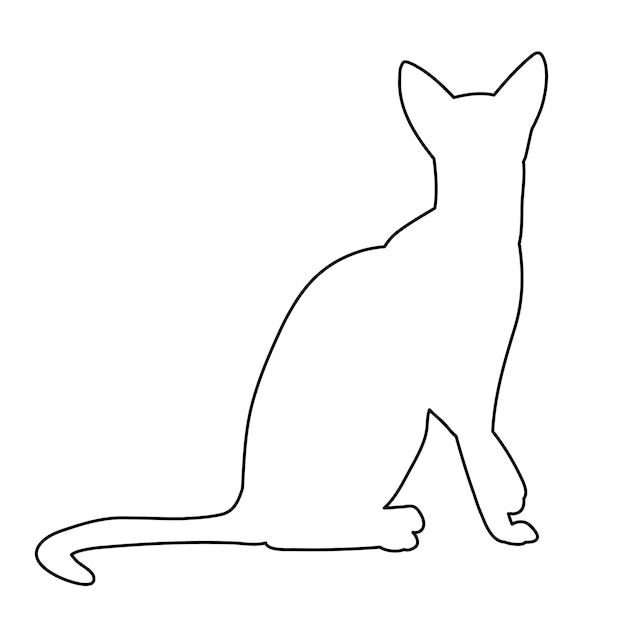 icono de gato de contorno sobre fondo blanco