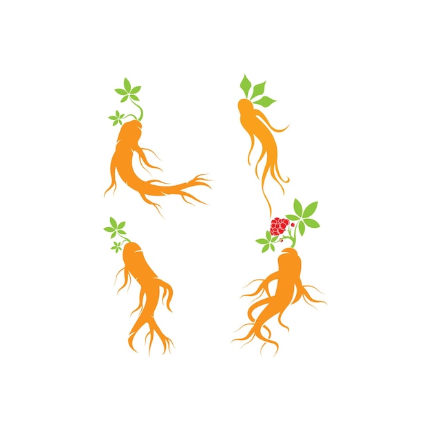 Icono de ginseng Diseño de ilustración vectorial Plantilla de logotipo