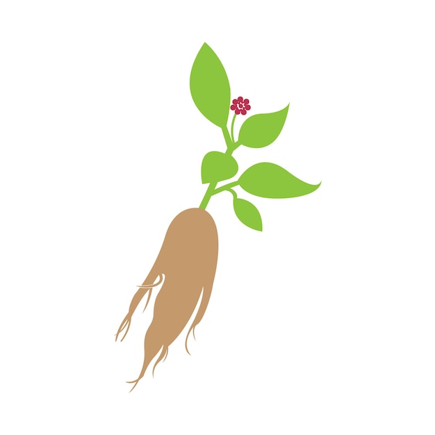 icono de ginseng