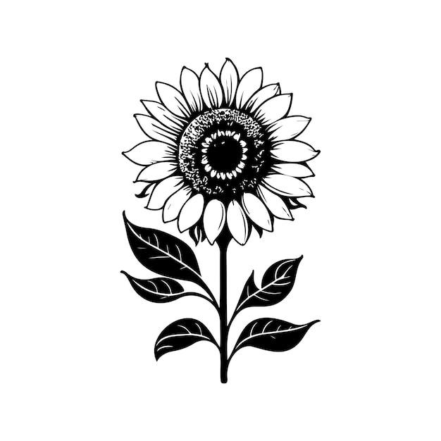 Vector icono de girasol dibujo a mano flores de color negro elemento vectorial y símbolo del logotipo