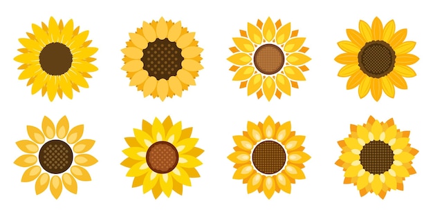 Icono de girasol en estilo plano Ilustración de vector de flora sobre fondo aislado Concepto de negocio de signo de girasol