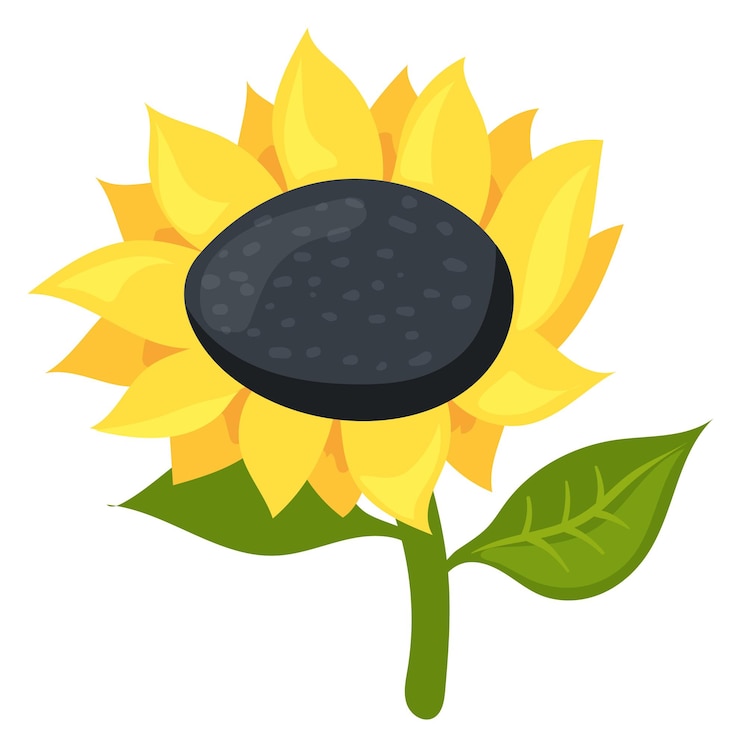 Vector icono de girasol flor de verano de dibujos animados cultivo de aceite