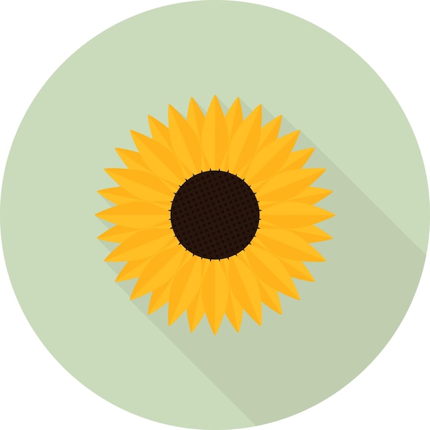 Icono de girasol con una larga sombra en el estilo de diseño plano de fondo verde