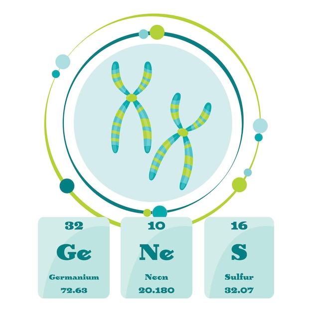 Icono gráfico del ejemplo del vector de la bioquímica del adn de la genética