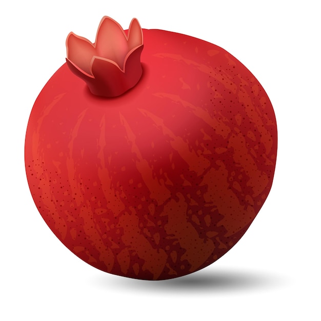 Icono de granada Ilustración realista del icono de vector de granada para diseño web aislado sobre fondo blanco