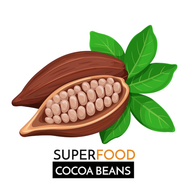 Vector icono de granos de cacao.