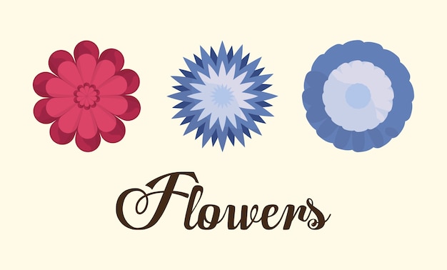 icono de hermosas flores sobre fondo blanco