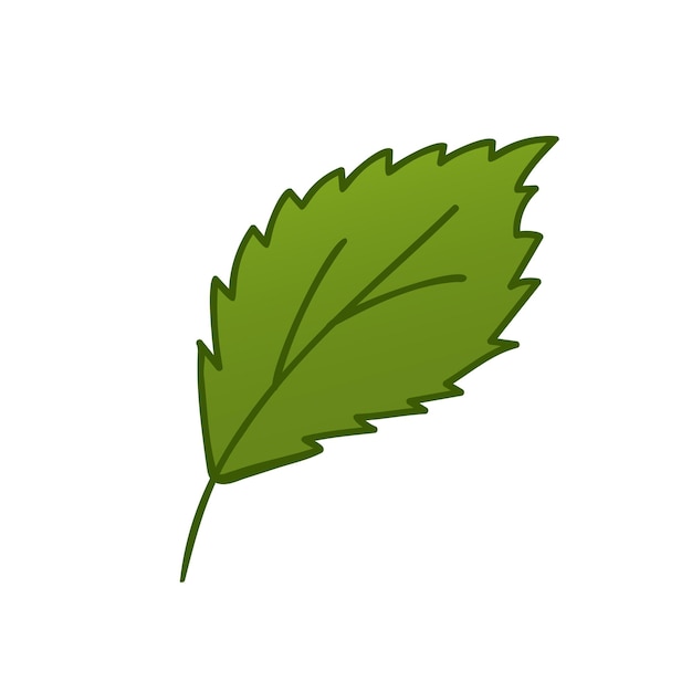 Vector icono de hoja de abedul aislado ilustración vectorial en estilo doodle tema de hoja de la naturaleza botánica de otoño