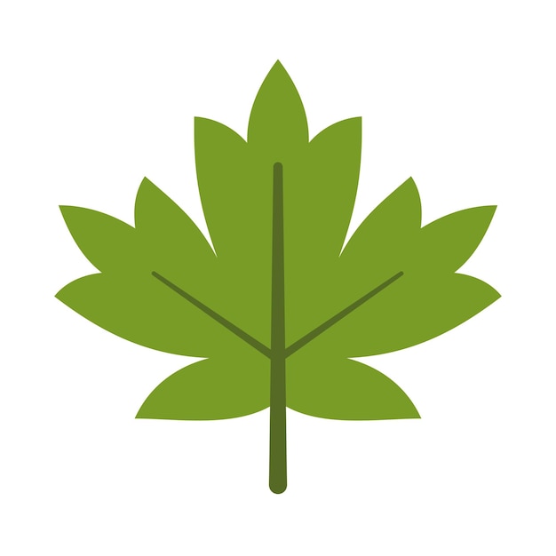 Icono de hoja de arce verde aislado sobre fondo blanco