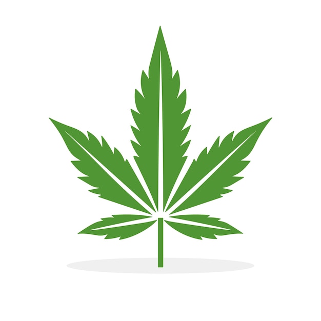 Icono de hoja de cáñamo Icono de hojas de cáñama verde aisladas Hojas de cáñamu medicinal Ilustración vectorial