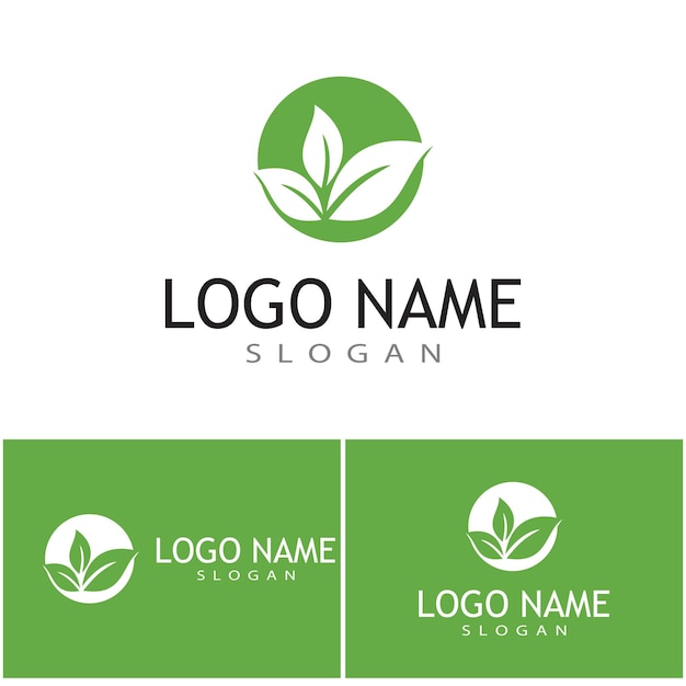 Icono de hoja Diseño de ilustración vectorial Plantilla de logotipo