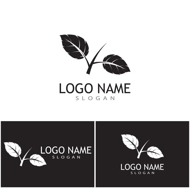 Icono de hoja Diseño de ilustración vectorial Plantilla de logotipo