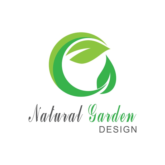 Icono de hoja Diseño de ilustración vectorial Plantilla de logotipo