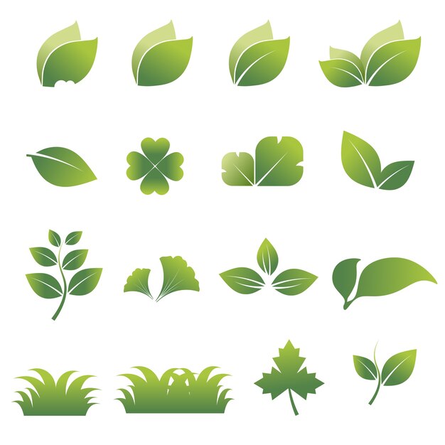 icono de hoja con fondo blanco