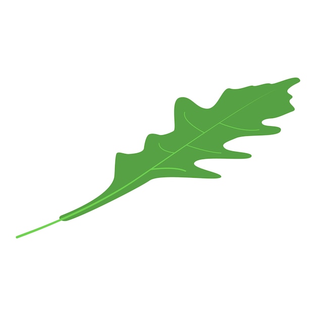 Icono de hoja fresca de rúcula Isométrica de icono de vector de hoja fresca de rúcula para diseño web aislado sobre fondo blanco