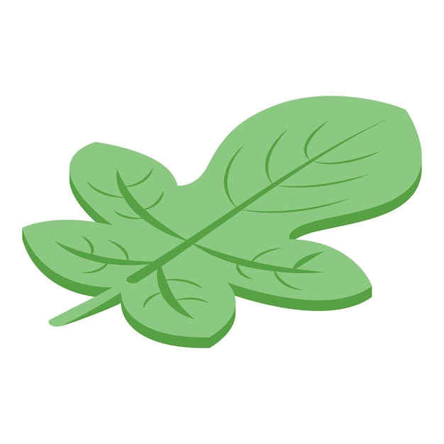 Icono de hoja de higos Isométrico de icono de vector de hoja de higos para diseño web aislado sobre fondo blanco
