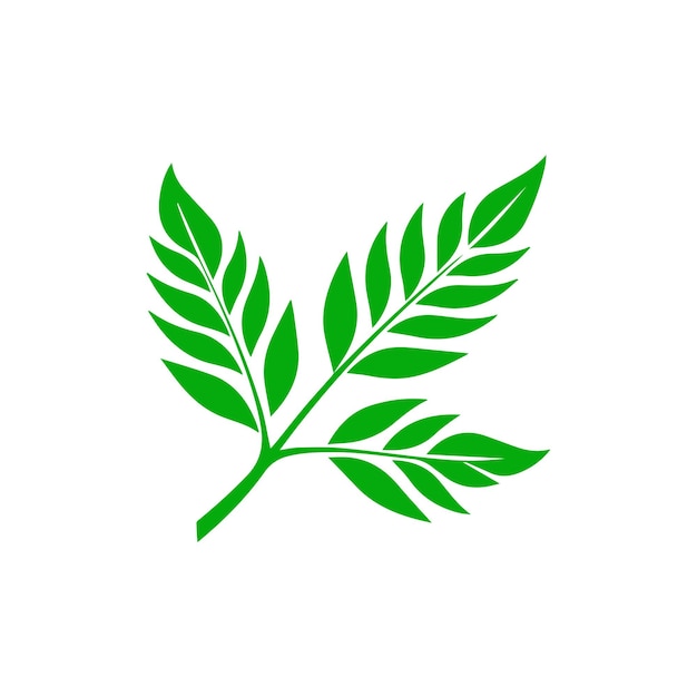 Ícono de hoja Icono de hoja verde sobre fondo blanco Ilustración vectorial