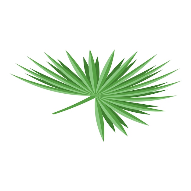 Icono de hoja de palmera Isométrico de icono de vector de hoja de palmera para diseño web aislado sobre fondo blanco