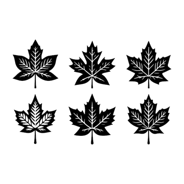 Vector icono de una hoja de planta sobre un fondo transparente