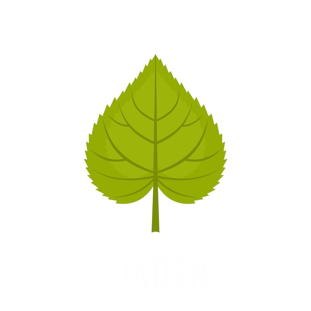 Icono de hoja de tilo Ilustración plana del icono de vector de hoja de tilo aislado sobre fondo blanco