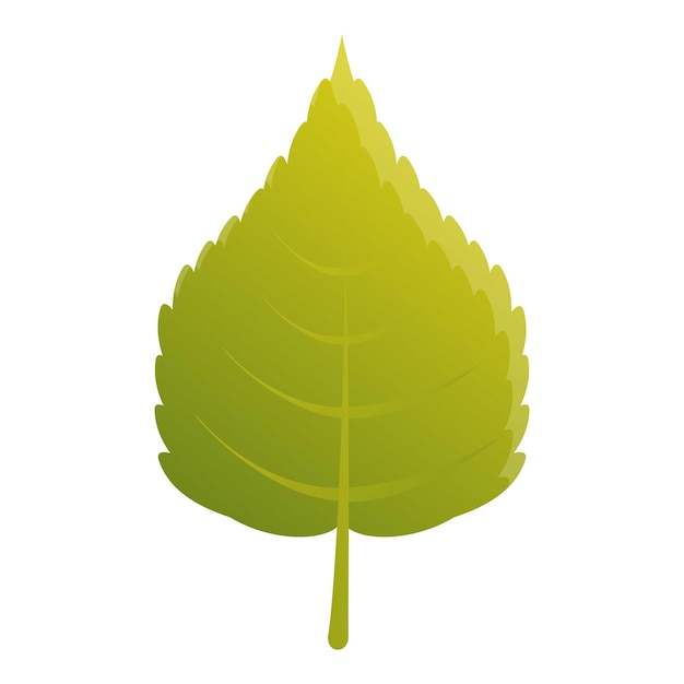 Icono de hoja verde de abedul Caricatura de icono de vector de hoja verde de abedul para diseño web aislado sobre fondo blanco