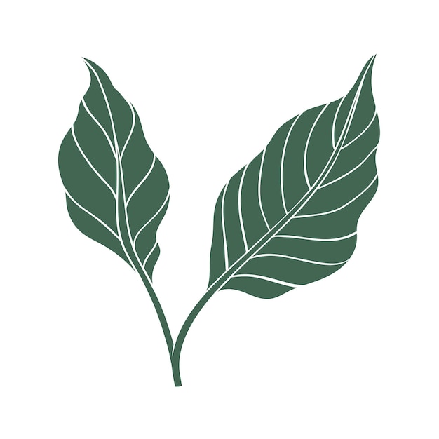 Icono de hojas de ají Silueta de color de hoja verde