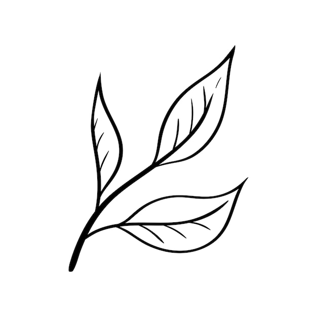 Icono de hojas de té en estilo de boceto simple signo aislado para café de negocios de té o embalaje