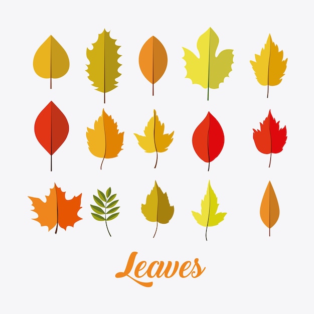 Icono de hojas