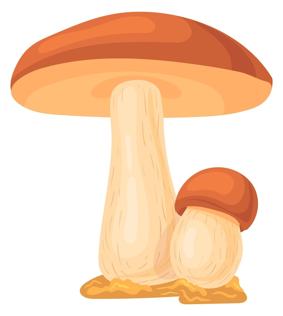 Vector icono de hongo boletus de dibujos animados