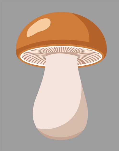 Icono de hongo en estilo plano Ilustración vectorial de Boletus en un fondo aislado Signo de alimentos de la naturaleza bu
