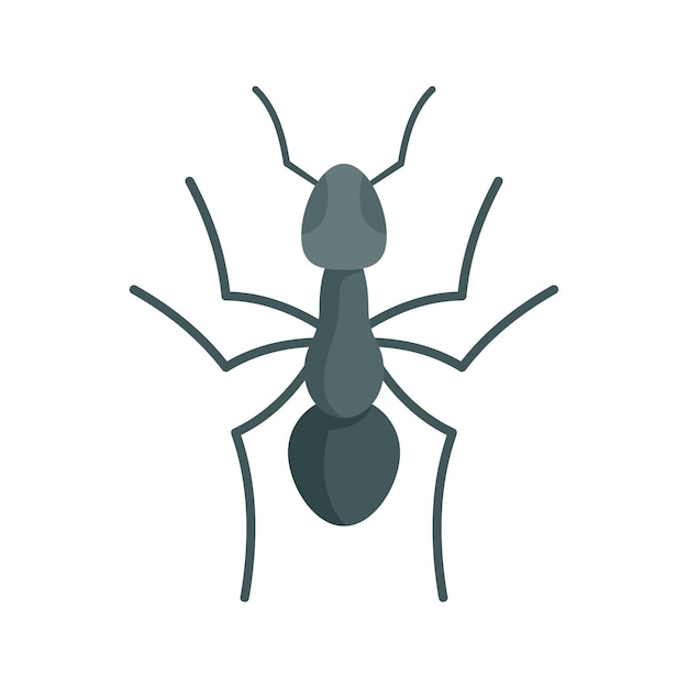 Icono de hormiga de trabajo en equipo Ilustración plana del icono de vector de hormiga de trabajo en equipo para diseño web aislado