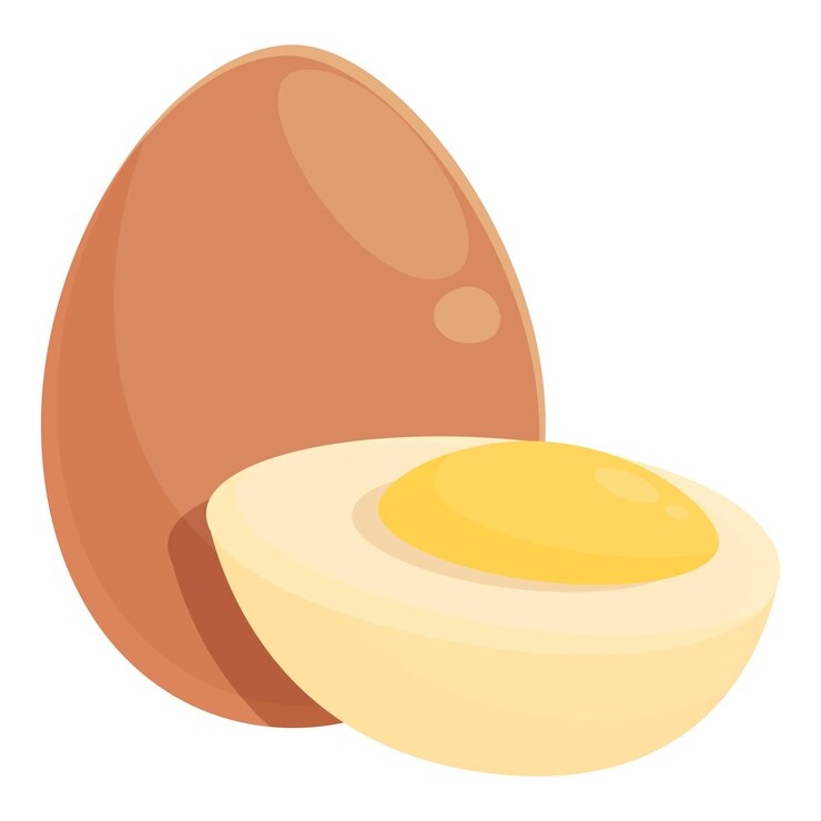 Vector icono de huevo cocido vector de dibujos animados huevo de gallina comida cocinada