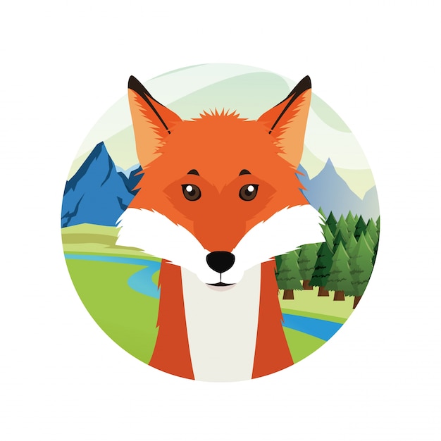 Icono de imagen de animal de dibujos animados de fox