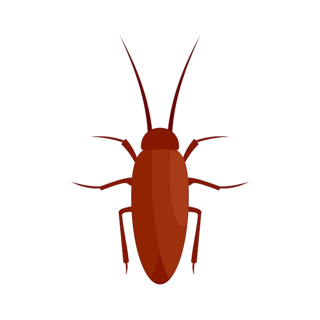 Icono de insecto cucaracha Ilustración plana de icono de vector de insecto cucaracha para diseño web
