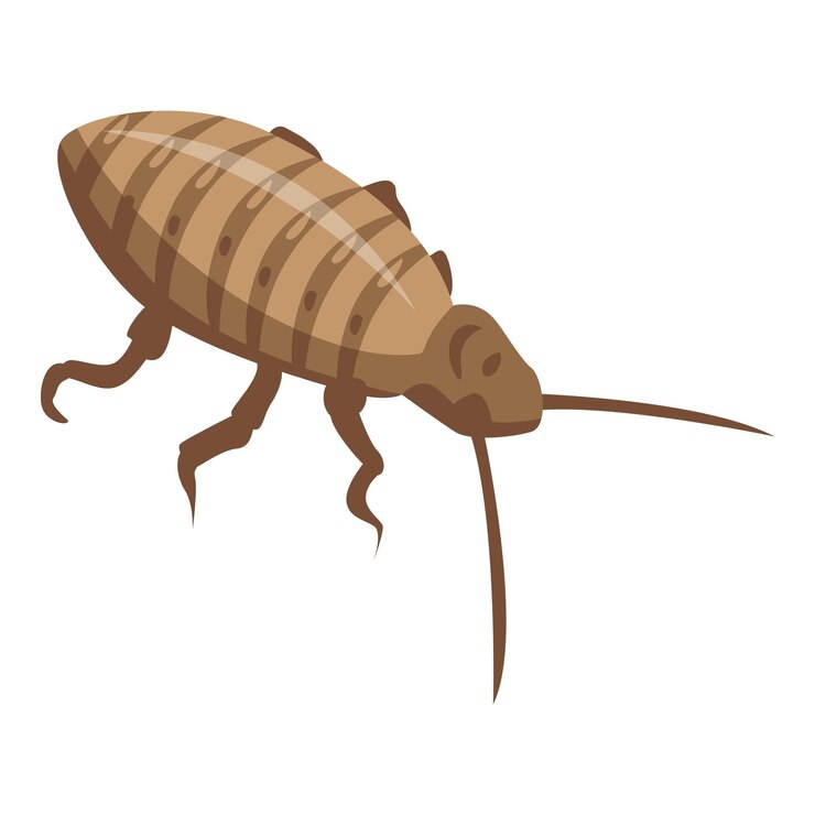 Vector icono de insecto cucaracha isométrico de icono de vector de insecto cucaracha para diseño web aislado sobre fondo blanco