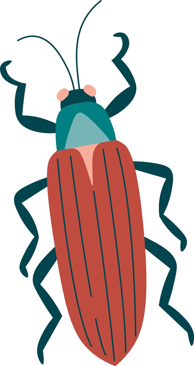 Vector el icono del insecto escarabajo