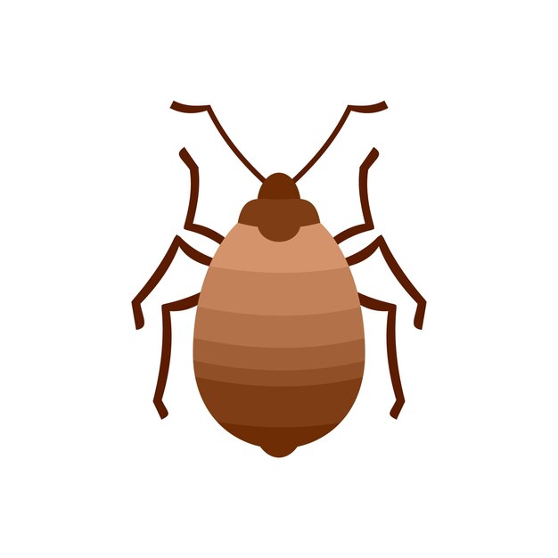 Icono de insecto insecto Ilustración plana del icono de vector de insecto insecto aislado sobre fondo blanco